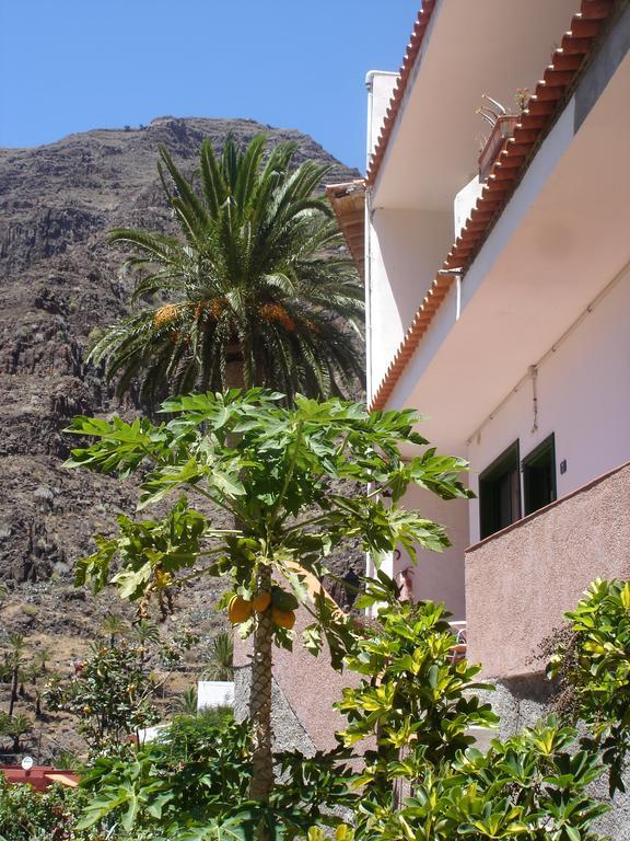 Goyo Gomera Apartments Вальє-Гран-Рей Екстер'єр фото