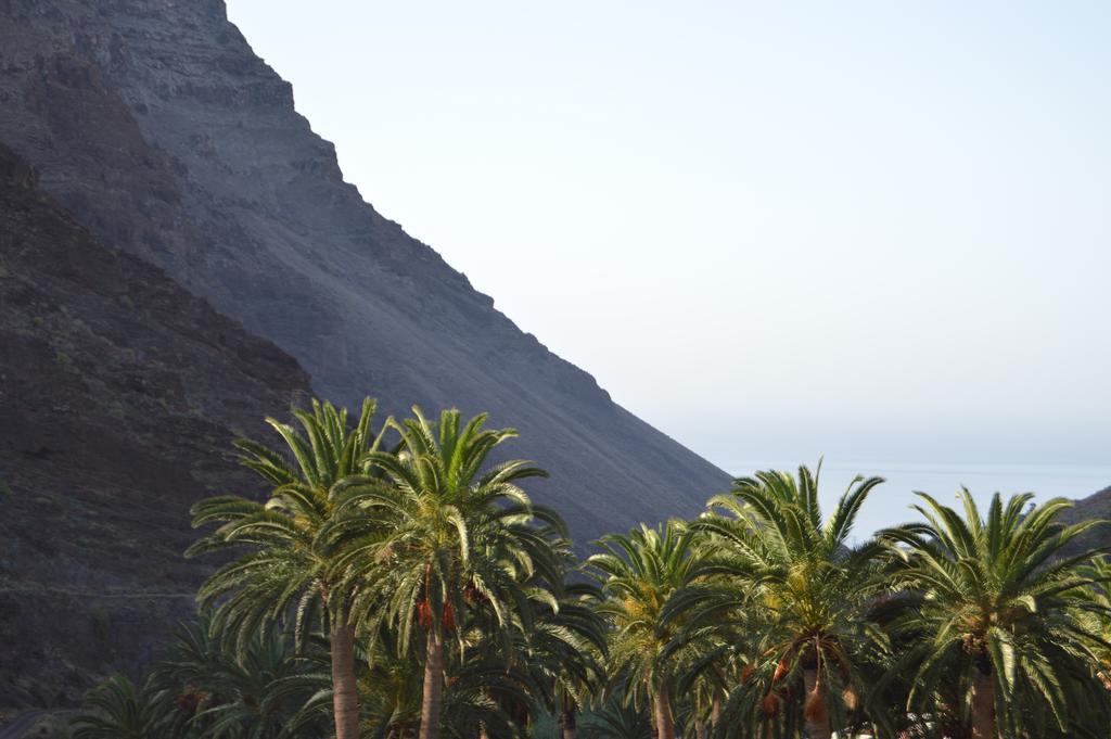 Goyo Gomera Apartments Вальє-Гран-Рей Екстер'єр фото