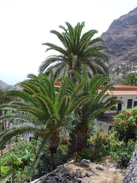 Goyo Gomera Apartments Вальє-Гран-Рей Екстер'єр фото