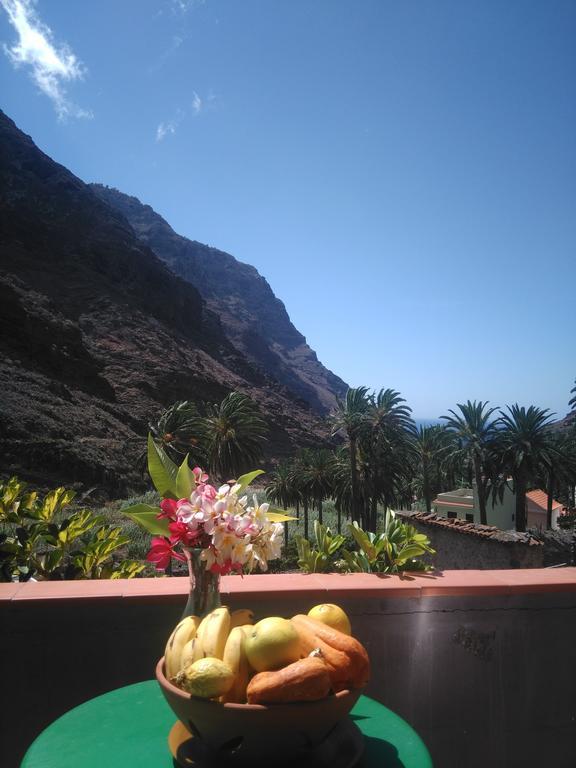 Goyo Gomera Apartments Вальє-Гран-Рей Екстер'єр фото